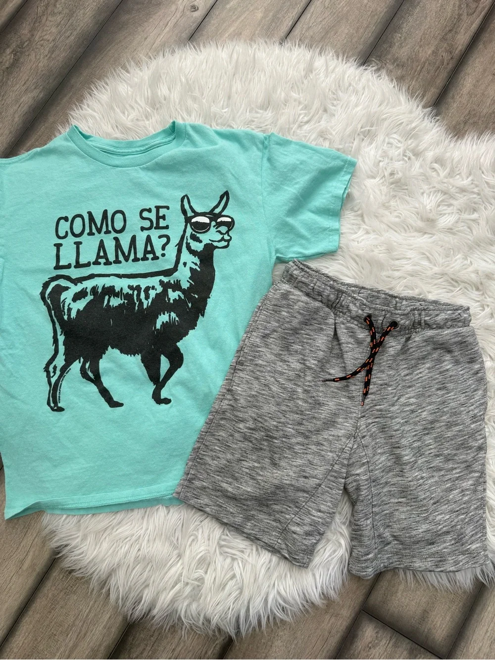 Cat & Jack Aqua Llama Tee with Gray Knit Shorts
